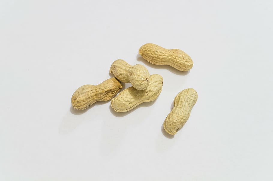 peanuts, aperitif, white background, studio shot, indoors, food and drink HD wallpaper