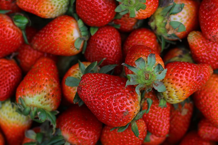 strawberry, gallery, fruit, red, food, healthy, vegetables HD wallpaper