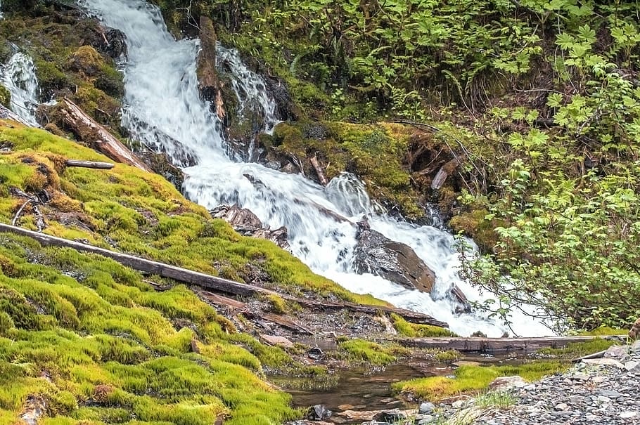 Trees, Waterfall, Forest, bright, moving, nature, landscape HD wallpaper