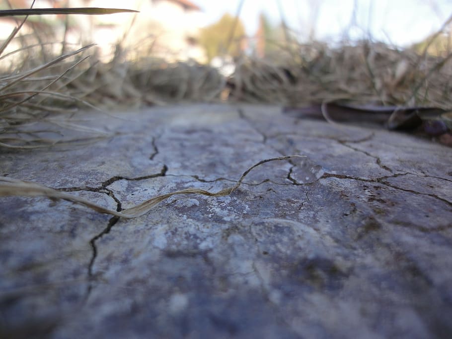 concrete, cracked, gray, dark, nature, selective focus, day HD wallpaper