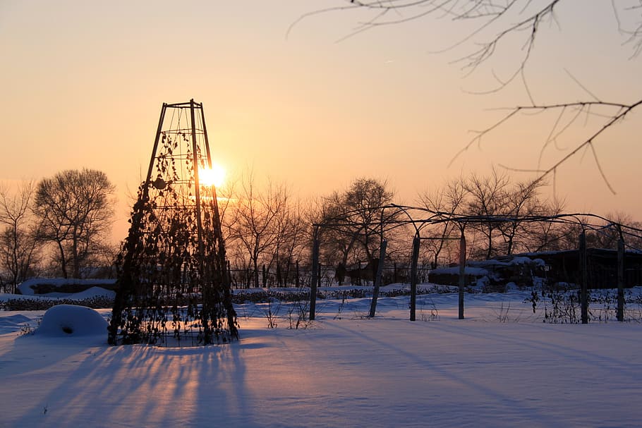 sunset, twilight, warm, winter, nature, landscape, snow, cold temperature HD wallpaper