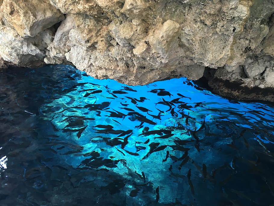 Fish, Corfu, Greece, nature, water, blue, sea, rock - Object HD wallpaper