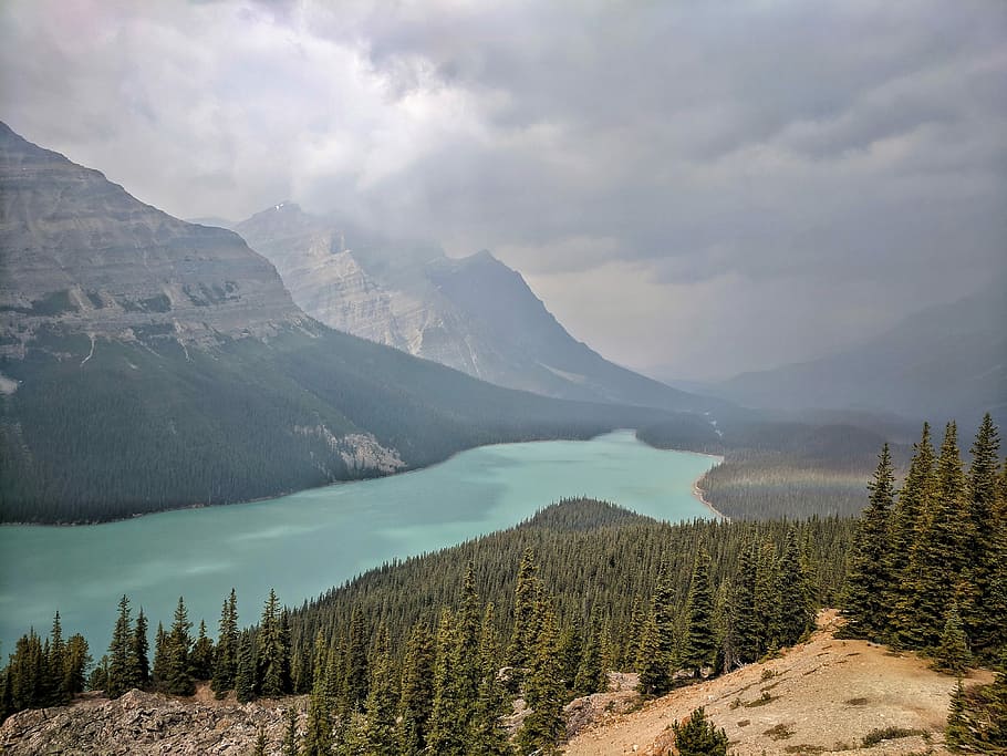 Peyto Lake, aerial photography of mountain near body of water HD wallpaper