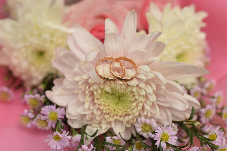Rings, Wedding, Married, flower, petal, fragility, flower head HD wallpaper
