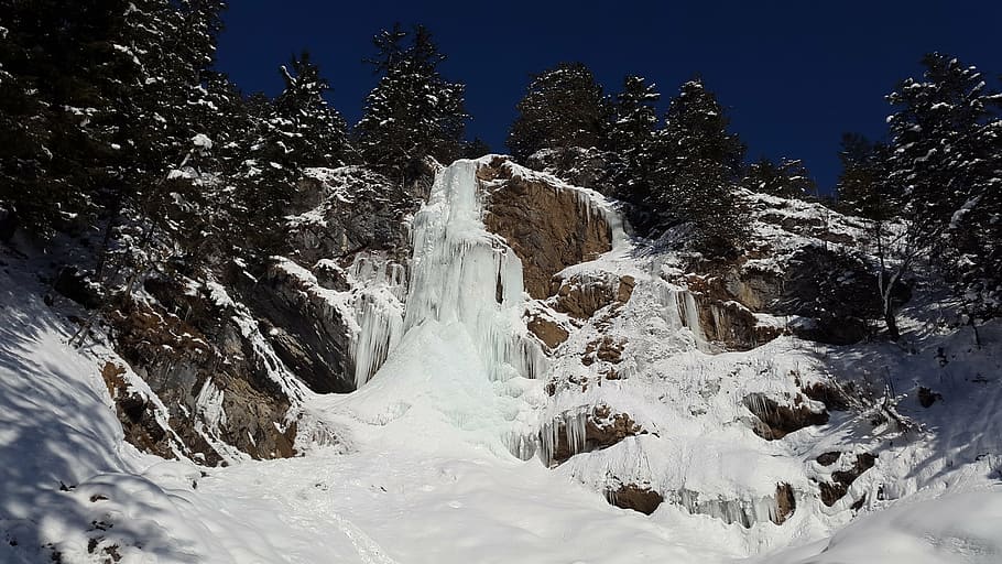 green leafed tree, icicle, waterfall, ice, icefall, water ice HD wallpaper
