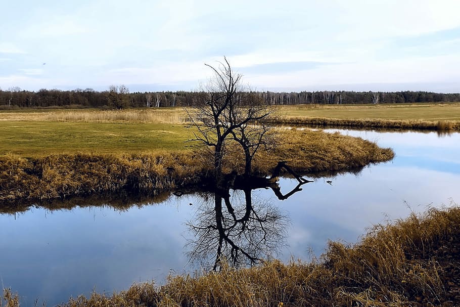 River, Tree, Mirroring, Landscape, river landscape, reflection HD wallpaper