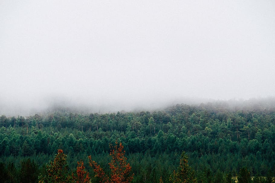 fog, mountains, forest, autumn, cottage, clouds, landscape HD wallpaper