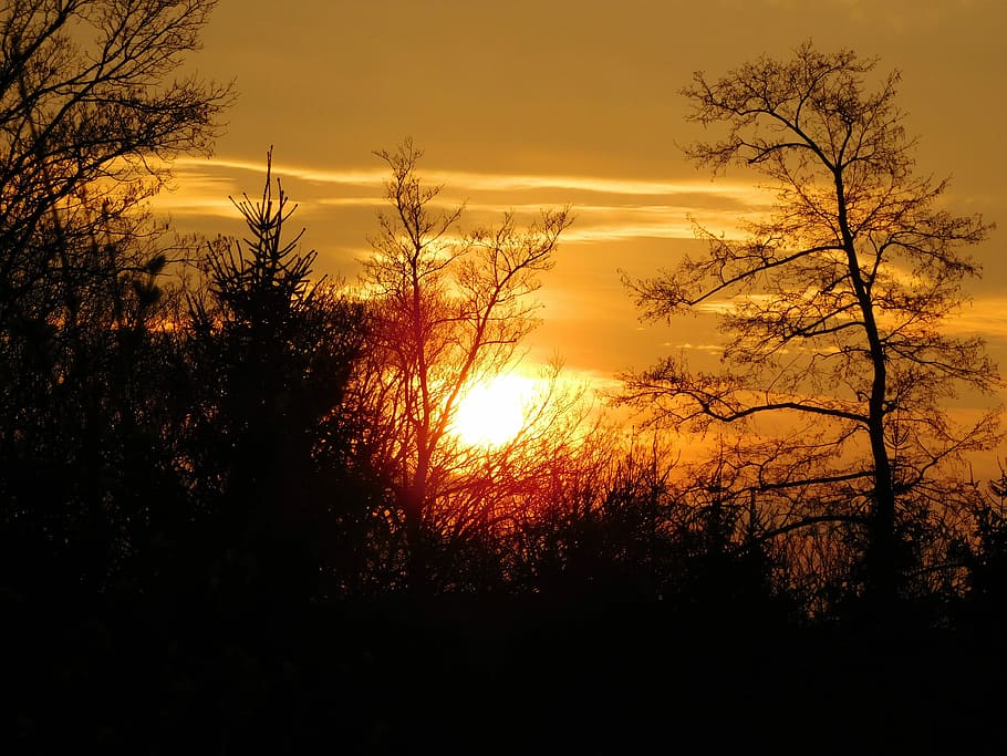 Sunset, Spring, Sunrise, Landscape, nature, summer, countryside HD wallpaper
