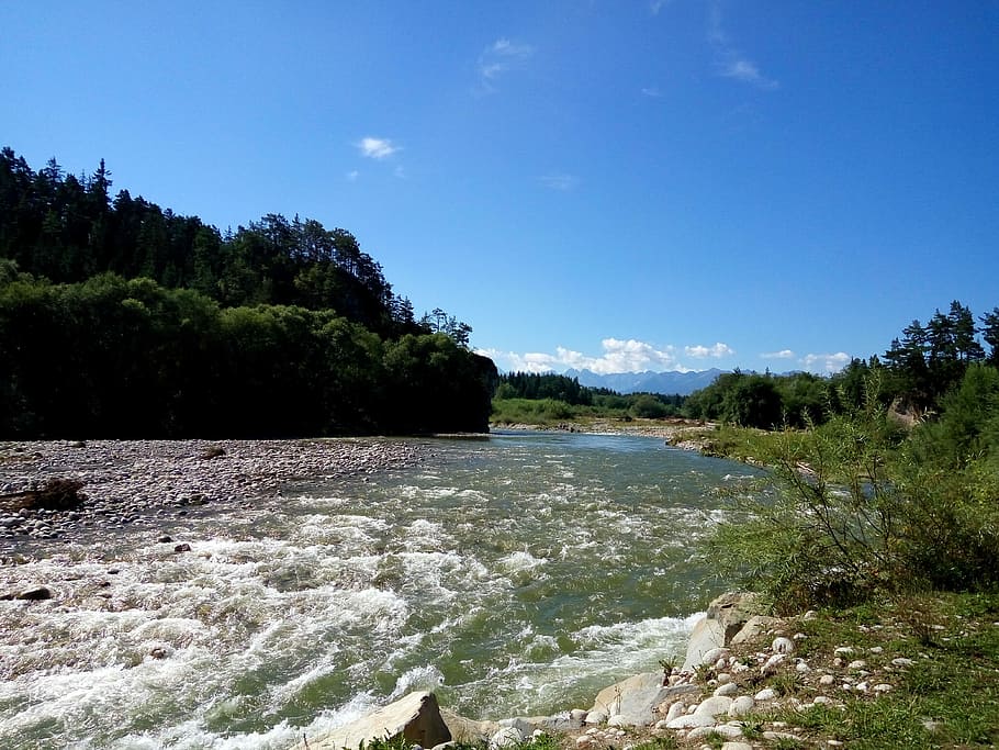 River, Stream, Nature, Water, sky, tree, scenics, forest, plant HD wallpaper