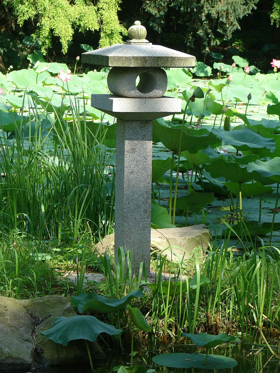 japan, lantern, garden, plant, growth, nature, grass, green color HD wallpaper