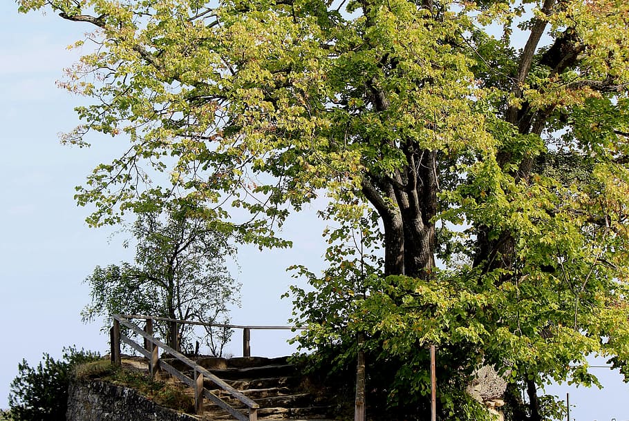 island, small, rock, trees, stairs, fence, view, lake, lake constance, HD wallpaper
