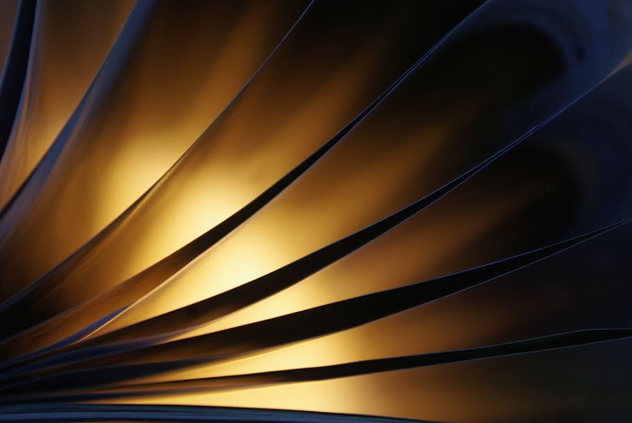 leaf, light, shadow, bright, paper, silhuette, lichtspiel, back light HD wallpaper