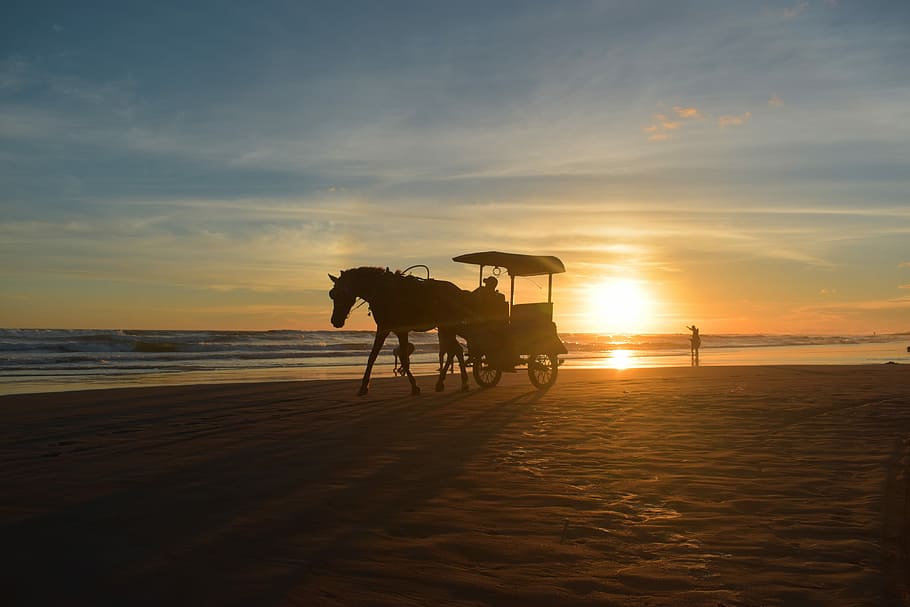 sunset, silhouette, beach, water, dusk, summer, holiday, sky HD wallpaper