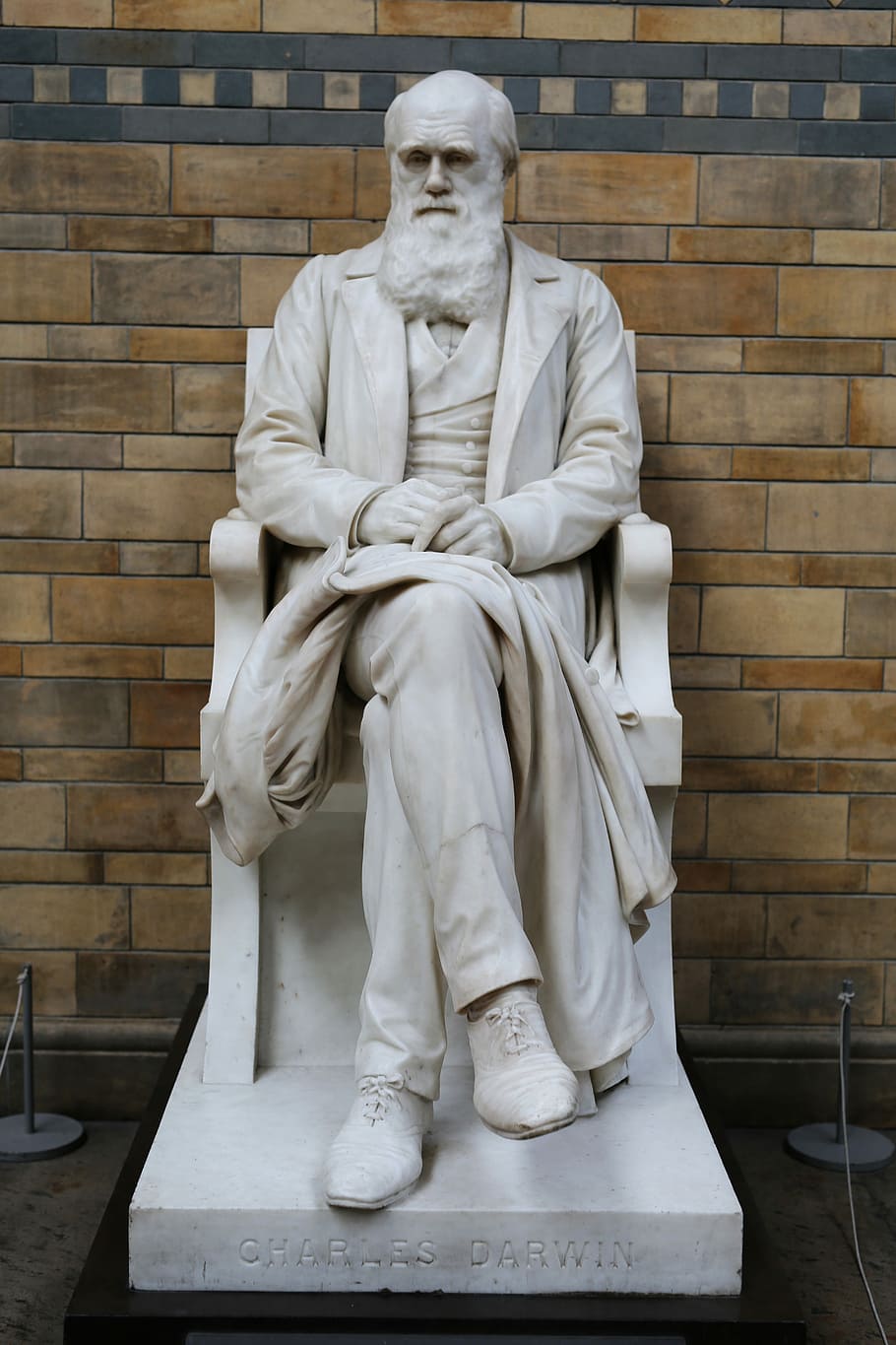 Charles Darwin, Darwin, Museum, London, natural history museum, HD wallpaper