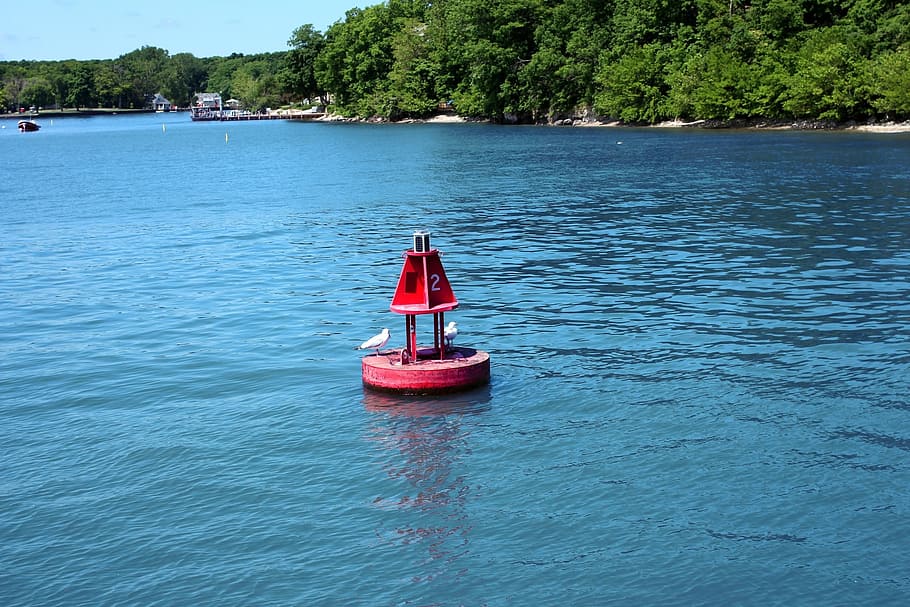 buoy, island, float, water, blue, ripple, calm water, seagull HD wallpaper