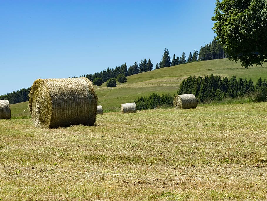 fields, fever, spring, agriculture, straw, prairie, germany HD wallpaper