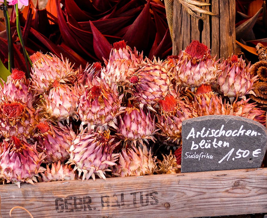 artichokes, market, vegetables, boxes, price tag, freshness HD wallpaper