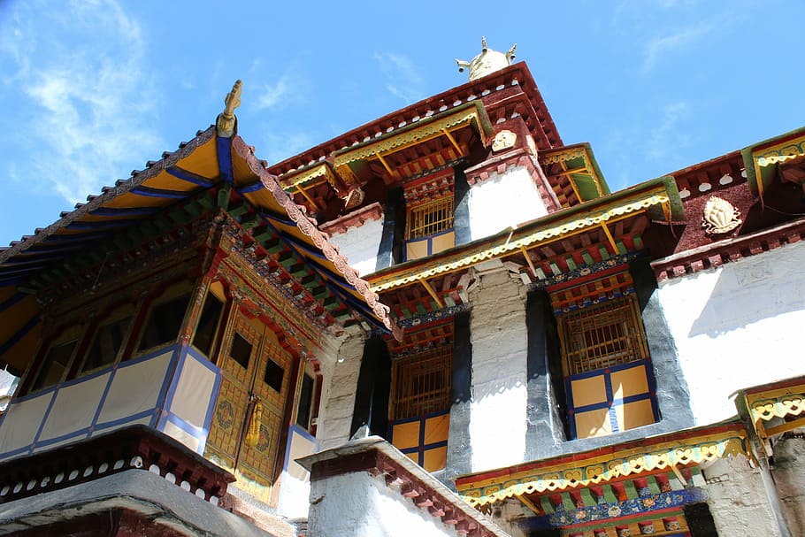 norbulingka, tibet, lhasa, garden, temple, building, woods, HD wallpaper