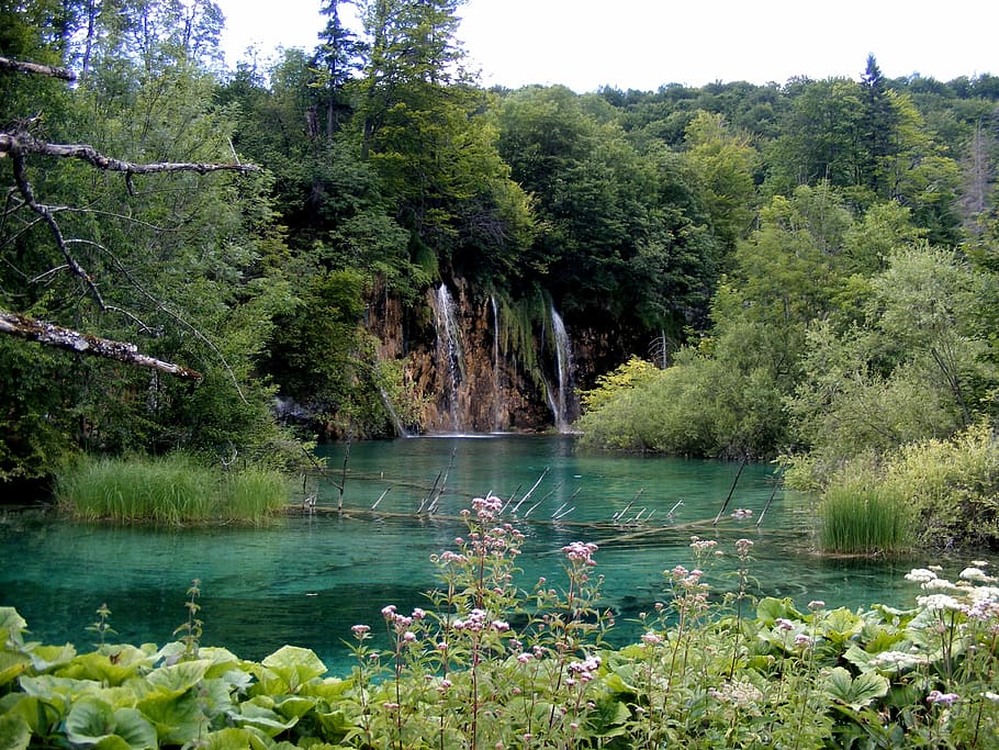 lake, plitvice, blue, plants, trees, green, croatia, water HD wallpaper