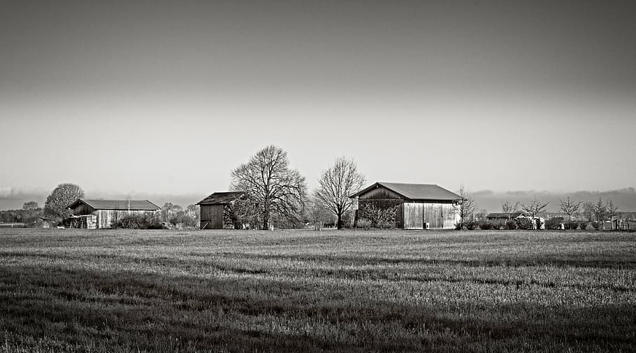 field barn, landscape, scale, nature, agriculture, chiemgau HD wallpaper