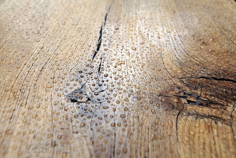 wet brown wooden slab, drops, rain, board, oak, texture, model HD wallpaper