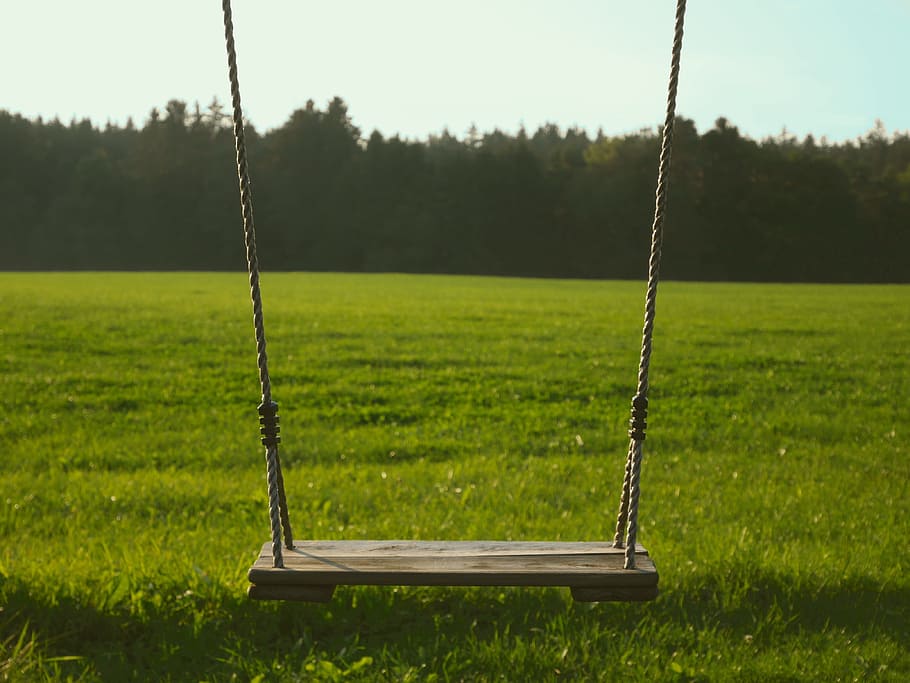 brown wooden swing, grass, leisure, summer, green, nature, play, HD wallpaper