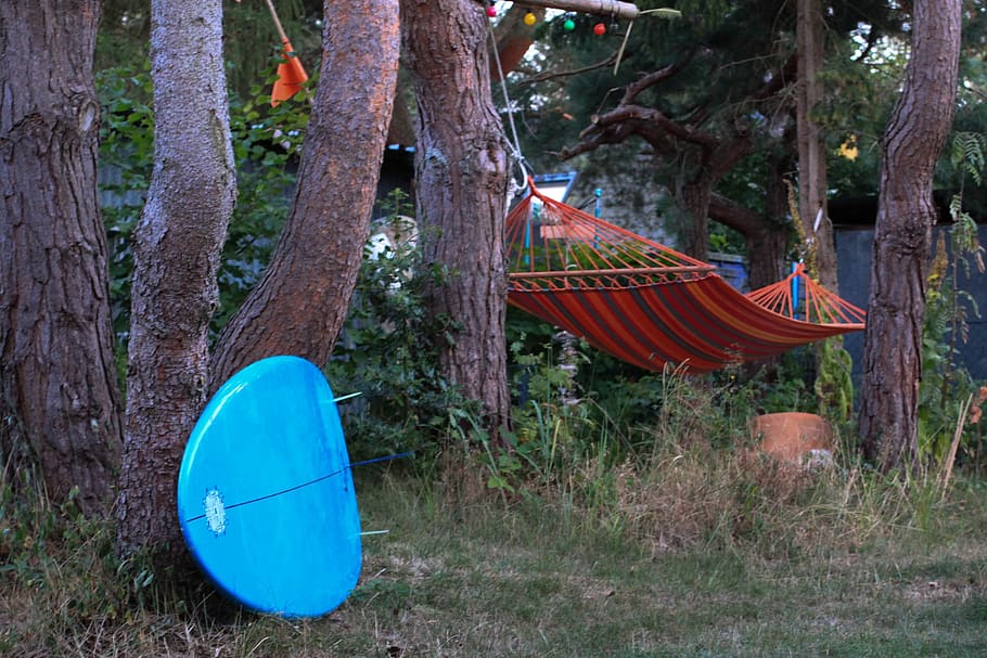 forest, surfboard, hammock, darss, summer, baltic sea, darß HD wallpaper