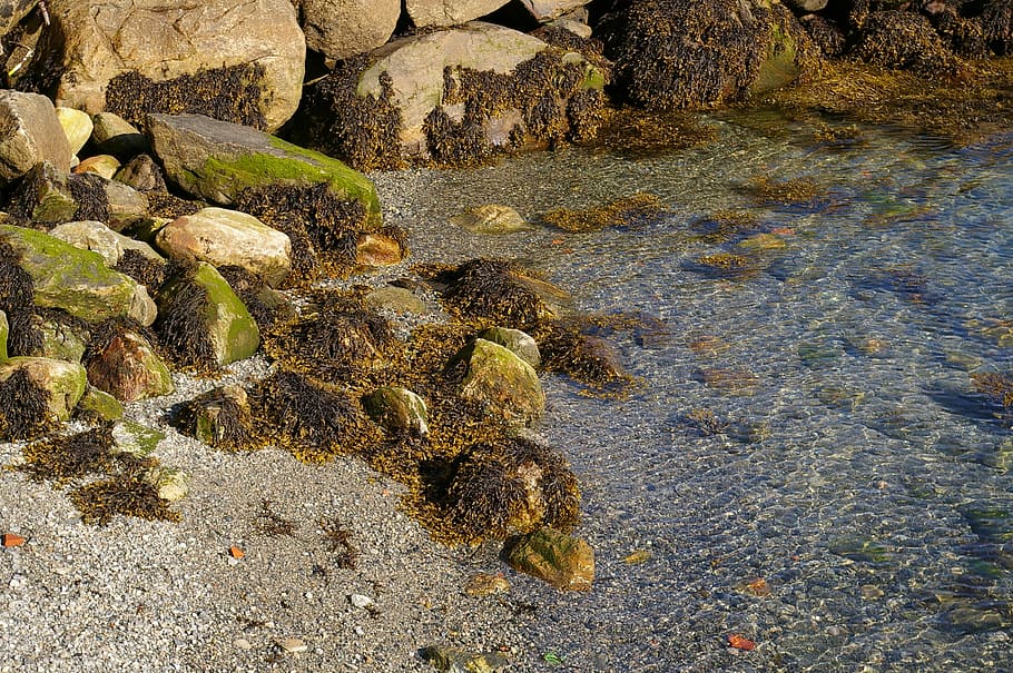 Water, Bank, Lake, Landscape, Stones, clear water, clean water HD wallpaper