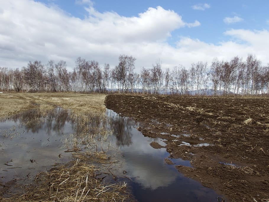 fields, spring, plowing, meadow, nature, landscape, tree, snow HD wallpaper