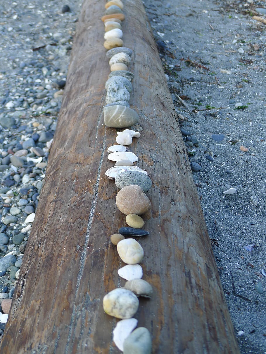 stones, rocks, log, beach, nature, landscape, outdoors, wood - material HD wallpaper