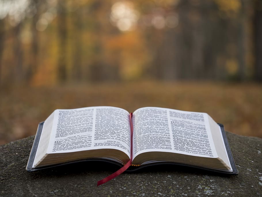 bible page on gray concrete surface, shallow focus photo of book page HD wallpaper