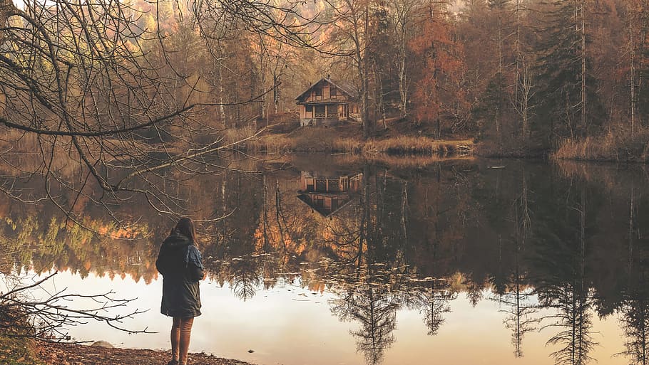 girl standing near to body of water, woman standing near tree and body of water, HD wallpaper