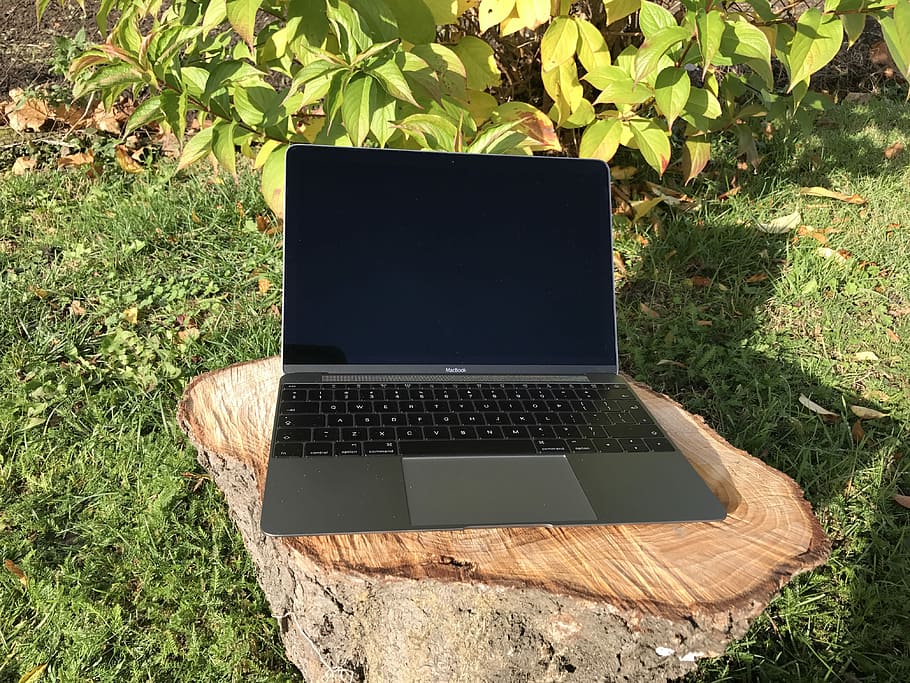 Computer, Apple, Space, Gray, Foliage, space gray, wood, trunk HD wallpaper
