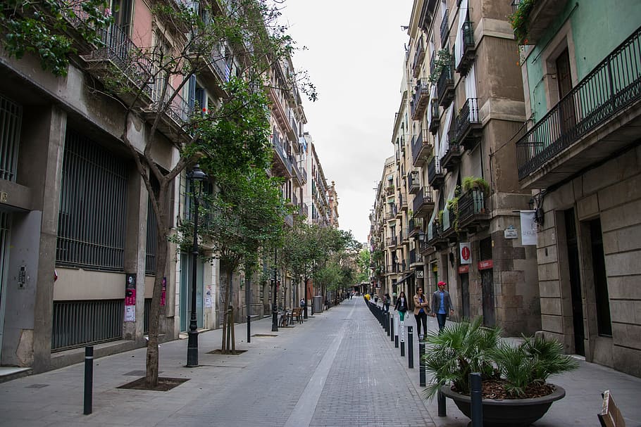 road, downtown, trees, old town, architecture, away, city life HD wallpaper