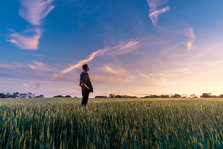 man on grass field looking at sky, man standing in the middle of green grass field HD wallpaper