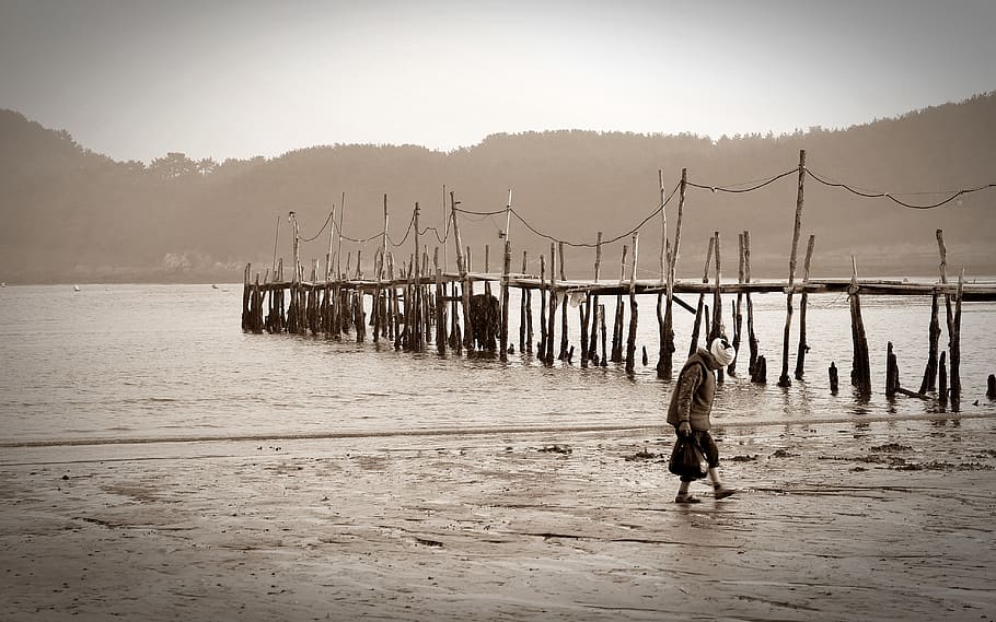 beach, landscape, water, nature, pier, one person, transportation HD wallpaper