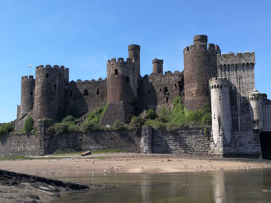 castle, wales, conway, welsh, uk, tower, estuary, coast, history HD wallpaper