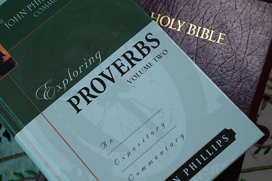 bible, proverbs, scripture, christianity, open book, holy, light, HD wallpaper