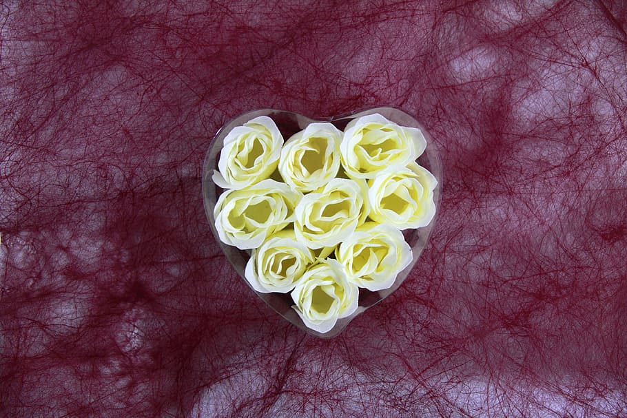 yellow roses on heart case, artificial, box, celebration, color HD wallpaper