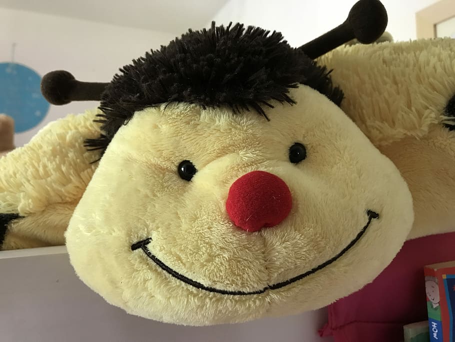 Bumble Bee, Cuddly, Fun, happy, smiling, happiness, joy, cheerful HD wallpaper
