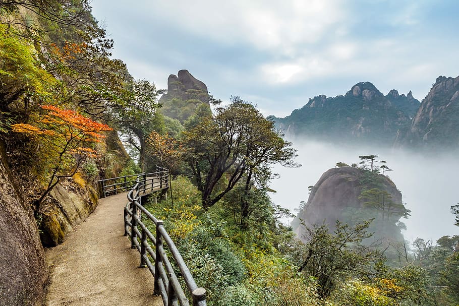 Colorful tree in mountain and above clouds, pathway with handrail with mountain at distance at daytime HD wallpaper