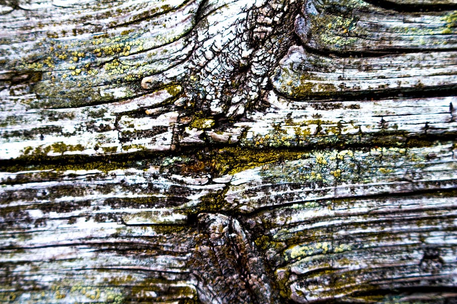 Board, Old Wood, worn, texture, plank, aged, wood - Material HD wallpaper