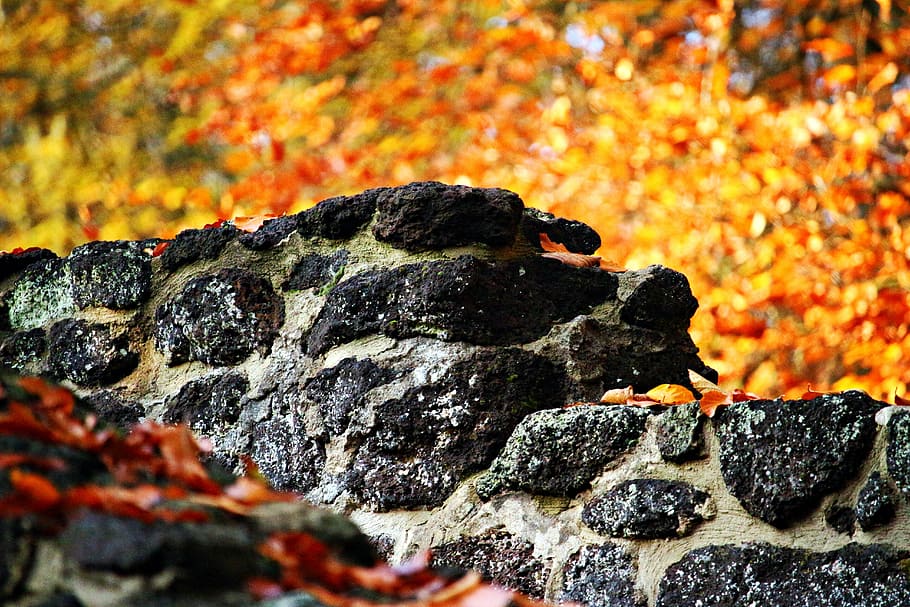 wall, stone, feilenmoos, stone wall, autumn, fall foliage, clumping stone HD wallpaper