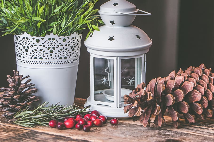 Candle Lantern Beside Pine C One and Green Leaf Plant, close-up HD wallpaper