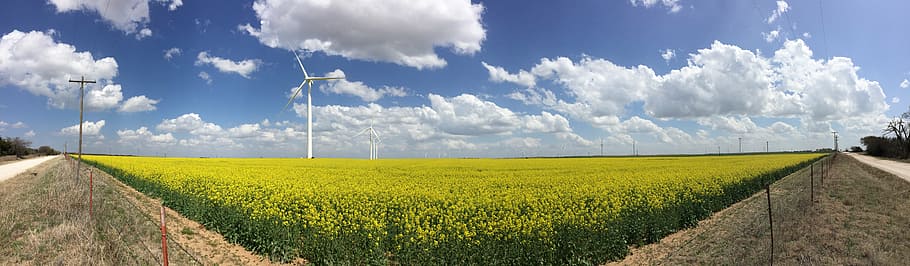 green grass field under cloudy sky, panorama, clouds, rural HD wallpaper