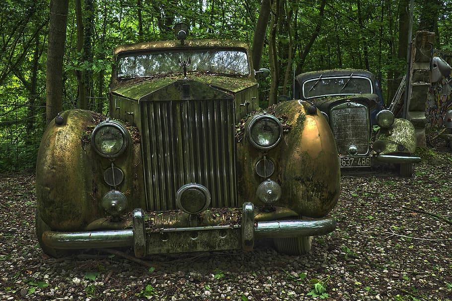 vintage cars surrounded by trees, auto, car cemetery, oldtimer