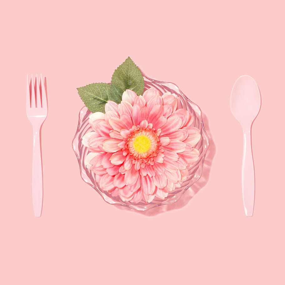 flat lay photography of disposable spoon, fork, and pink petaled flower, pink artificial daisy flower with pink plastic spoon and fork