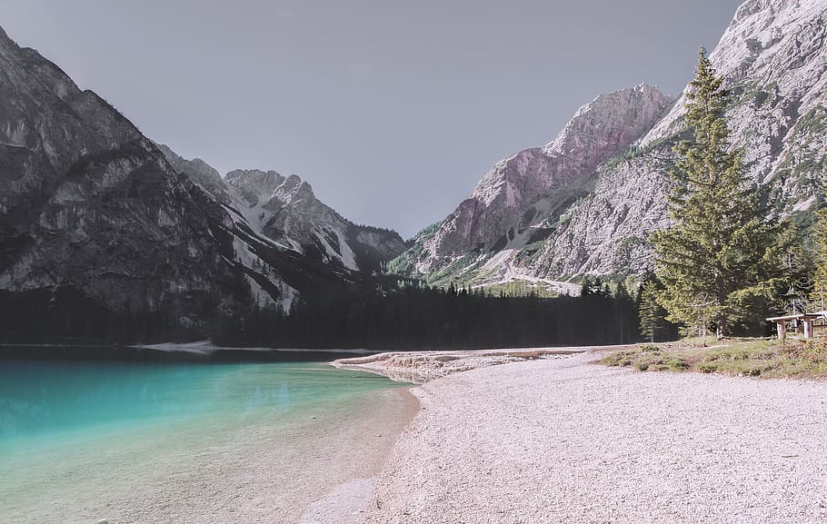 pine trees near body of water and mountains, seaside lake with gray sand during daytime HD wallpaper