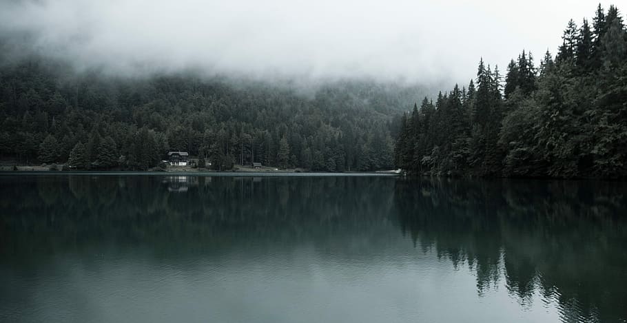 photo of body of water under cloudy sky, nature, lake, tree, landscape