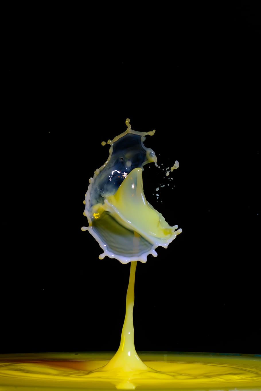 drip, spray, water, liquid, drop of water, water splashes, high speed HD wallpaper
